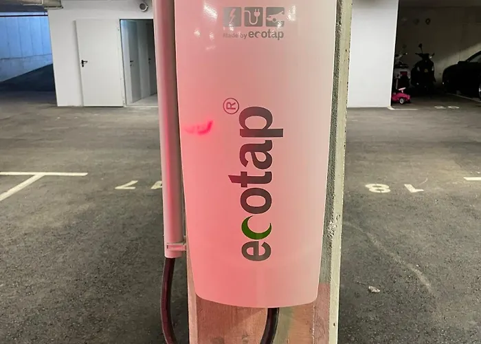 Quality רייפניץ